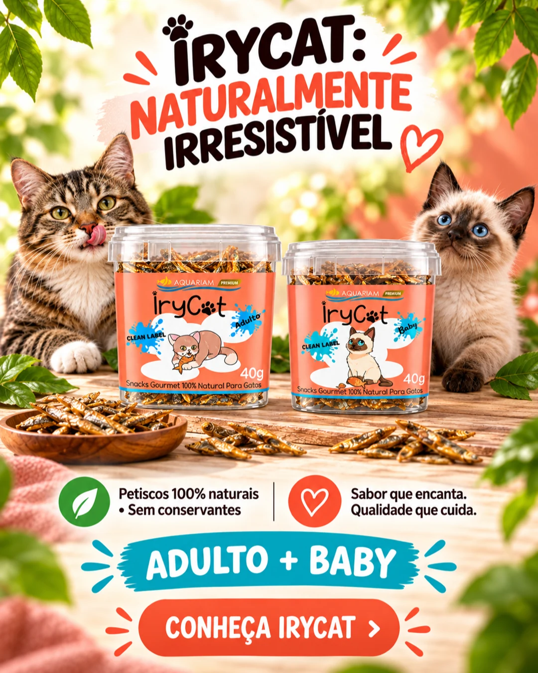 slide_mobile_irycat_adulto_baby